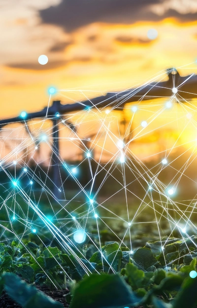 Precision irrigation networks