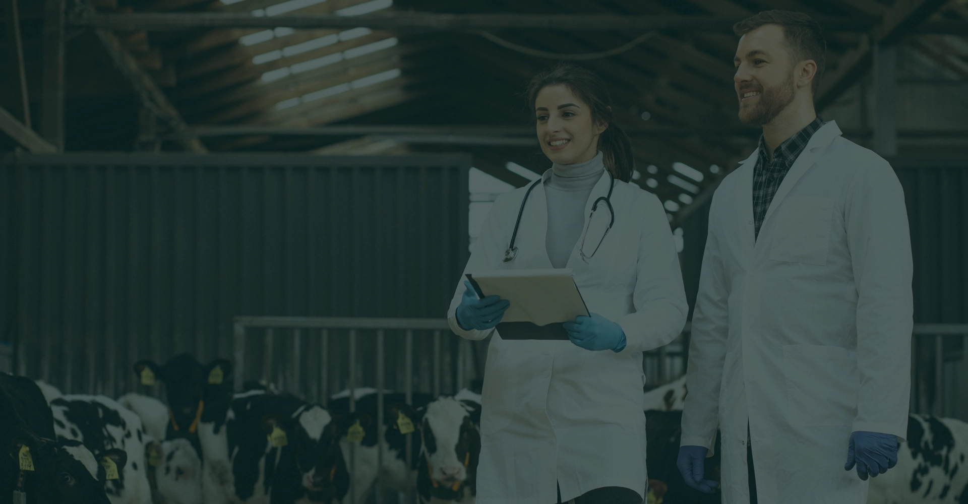 Protocols for animal welfare