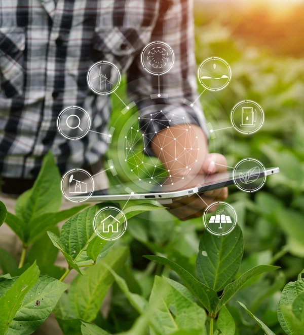 Smart farm analytics
